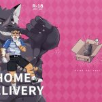 2091618 Home Delivery 000 cover