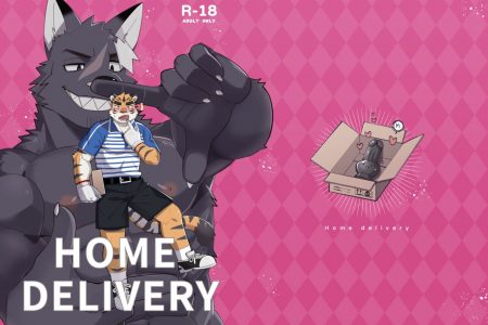 2091618 main Home Delivery 000 cover