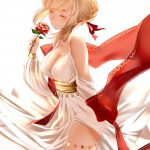 2176909 Fate Grand Order Nero Claudius old a