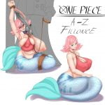 2346150 One Piece A Z fillonce