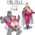 2346150 One Piece A Z hina