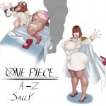 2346150 One Piece A Z sally